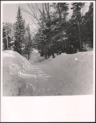 Lumber Road, Great Northern Paper  Company