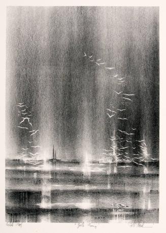 Gulls Rising
