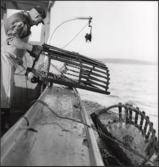 Lobster fisherman in Maine