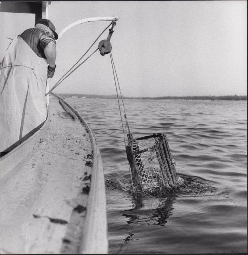 Lobster fisherman in Maine