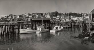 Homes and harbor of Stonington, Maine