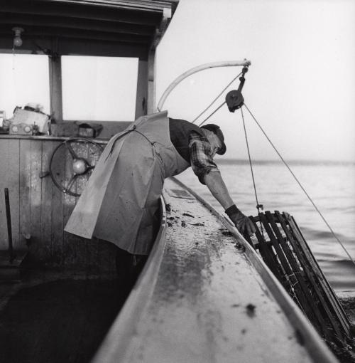 Lobster fisherman in Maine