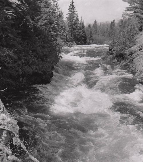 Rapids