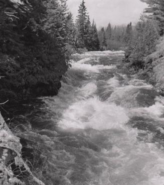 Rapids