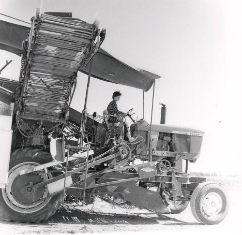 Mechanical Potato Harvester
