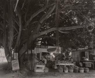 Fruit Market, South Dixie Highway, Miami, Florida