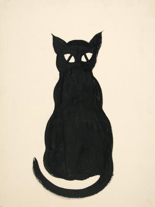 Black cat