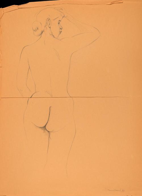 [Nude woman, rear view]