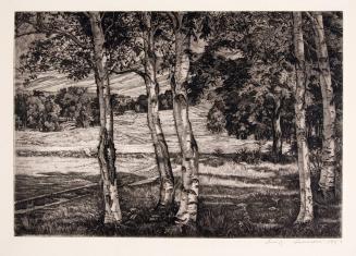 Untitled (Between the Birches)