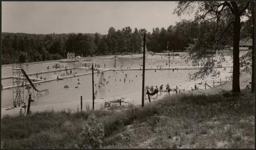 Swimmers on a lake