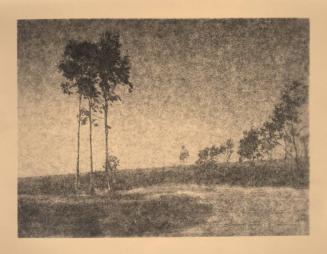 [Landscape with three eucalyptus trees along road]